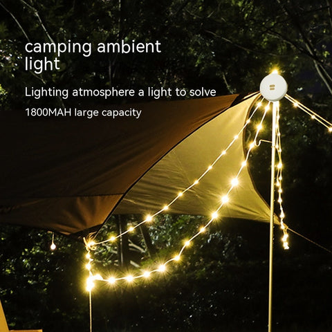 Decorative lights